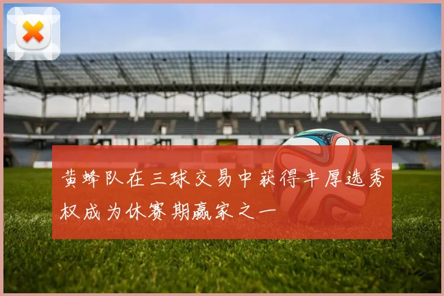 黄蜂队在三球交易中获得丰厚选秀权成为休赛期赢家之一